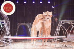 MB190109A0346-Tom DIECK JR - Lions & Tigres