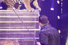 MB190110A0754-Tom DIECK JR - Lions & Tigres