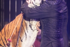 MB190110A0785-Tom DIECK JR - Lions & Tigres