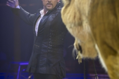 MB190110A0827-Tom DIECK JR - Lions & Tigres