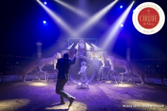 MB190110A1759-Tom DIECK JR - Lions & Tigres