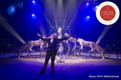 MB190110A1771-Tom DIECK JR - Lions & Tigres