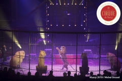 MB190110A2646-Tom DIECK JR - Lions & Tigres