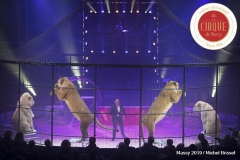 MB190110A2647-Tom DIECK JR - Lions & Tigres