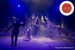 MB190111A1349-Tom DIECK JR - Lions & Tigres