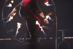 MB190112A0379-Nicol NICOLS - Fil de fer