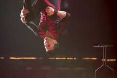 MB190112A0385-Nicol NICOLS - Fil de fer