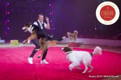 MB190111A1157-Sandro MONTEZ - Dressage de Chiens