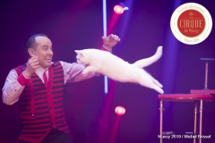 MB190110A0326-Vlad OLONDAR - Chats