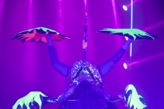 MB190110A0115-Tamara KHURCHUDOVA - Antipode