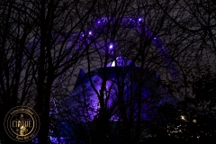 The watermark is made by "Batch Image Watermark". Official website homepage: http://www.arwer.com  (Upgrading to professional features will no longer display this information)