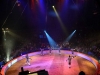 Cirque