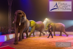M60123A0959 - Ronald Spindler et ses Eléphants