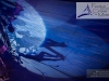 M60123A0431 - Ombres des Flying Girls