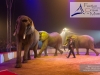M60123A0959 - Ronald Spindler et ses Eléphants