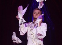 Andrejs Fjodorovs – Pigeons dressés