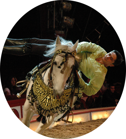 Tamikov