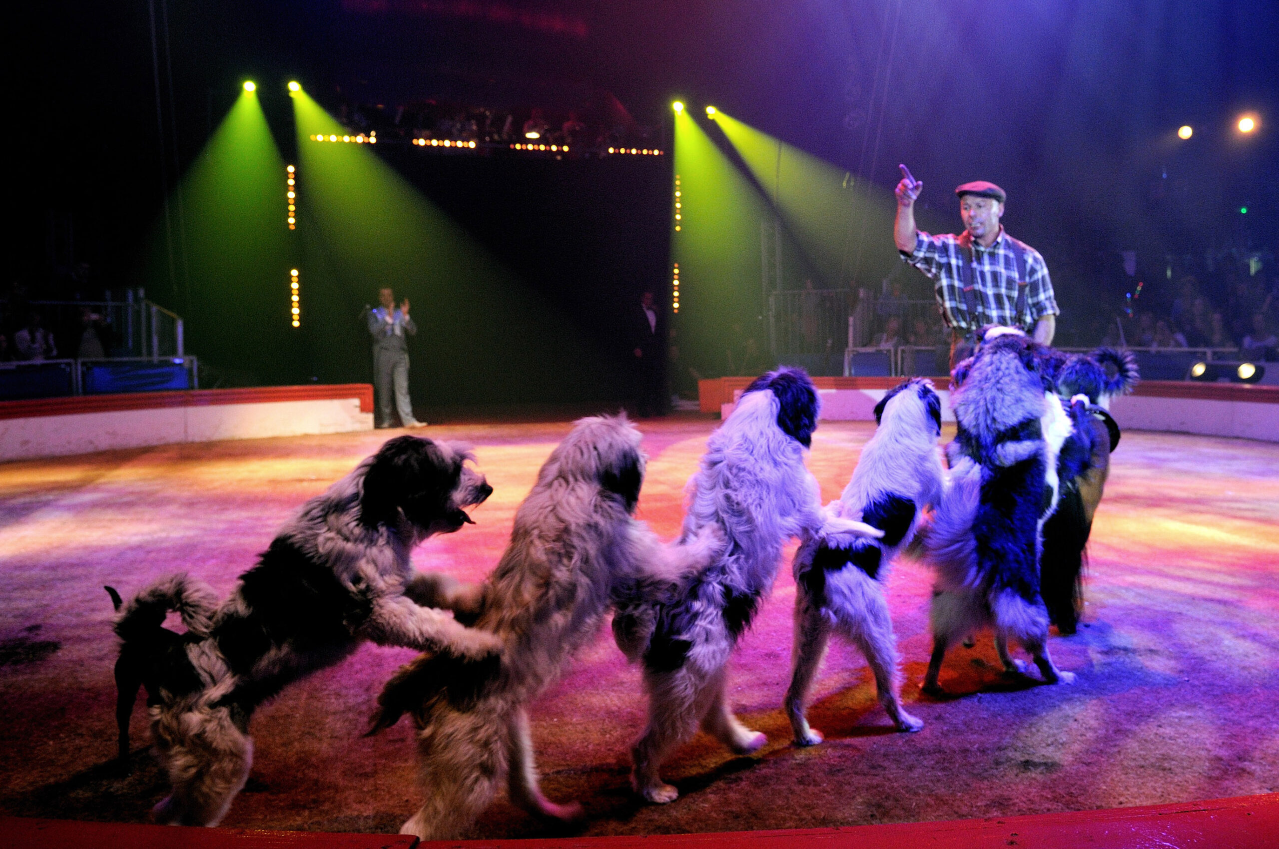Chiens – Wolfgang LAUENBURGER