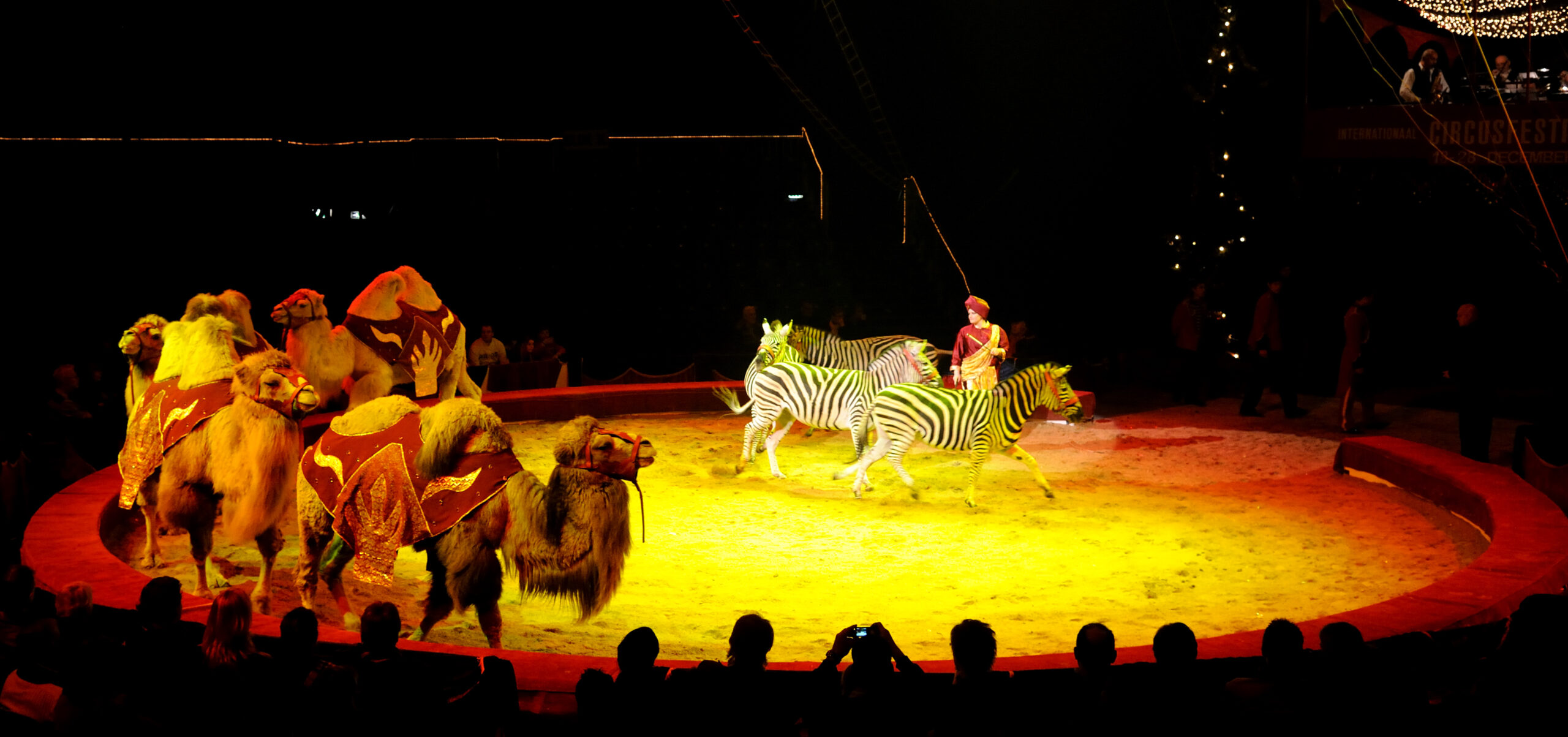 Animaux exotiques – Les BEROUSEK