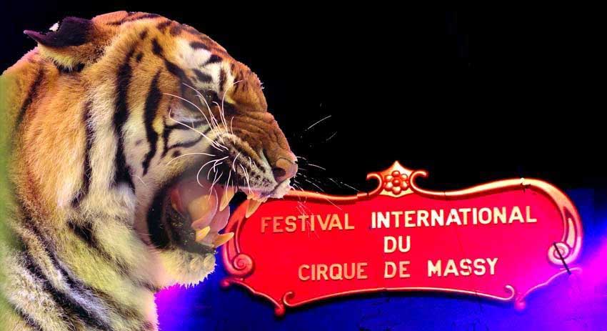 Les Photos du 23 Festival par Bata Gluvacevic