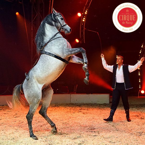 Marlon Zinnecker – Cavalerie