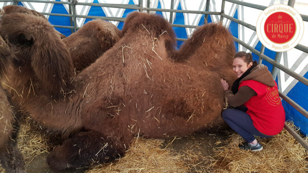 Margot – Ostéopathe pour animaux