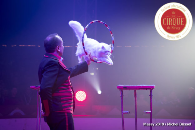 Vlad Olondar – Chats – Russie