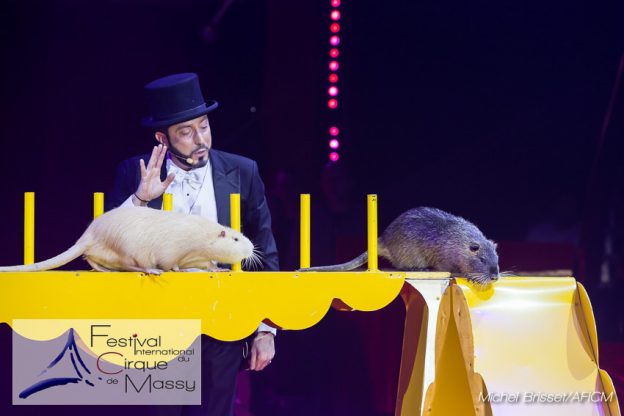 Gunter Sacckman – Rats et Ragondins dressés