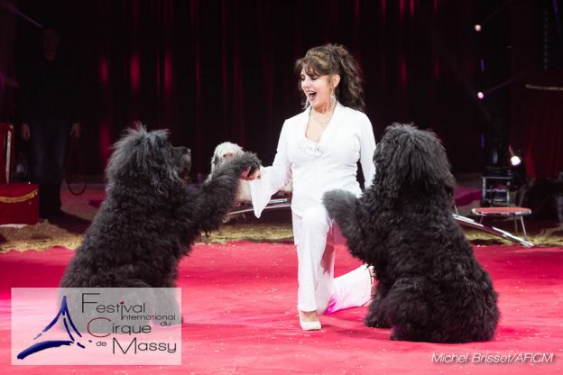 Gina Giovanni – Dressage de chiens