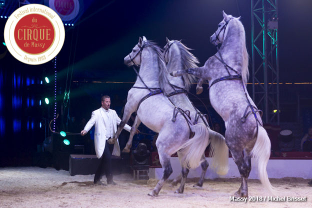 Marlon Zinnecker – Cavalerie – Allemagne