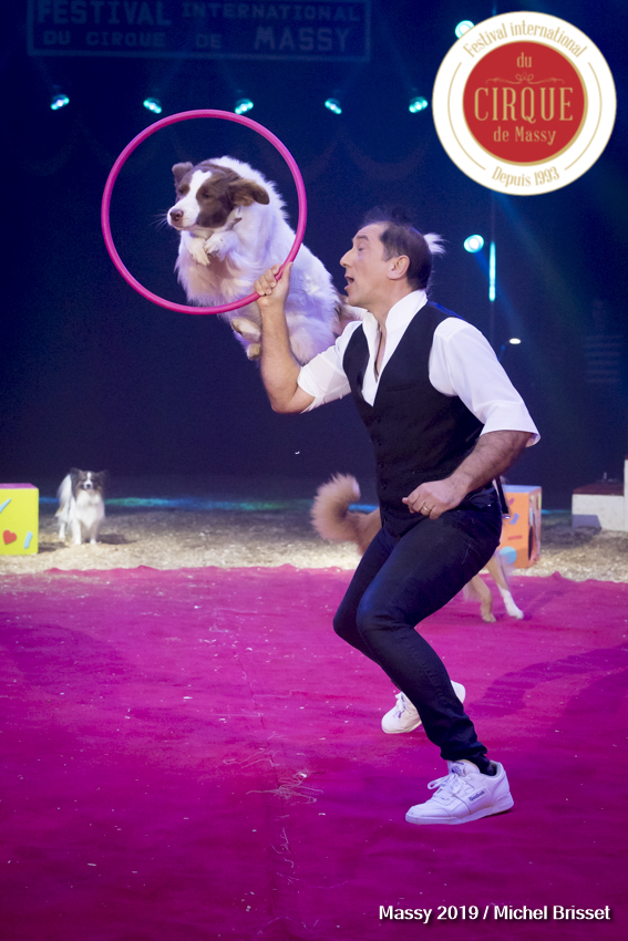 Sandro Montez – Dressage de Chiens – Allemagne
